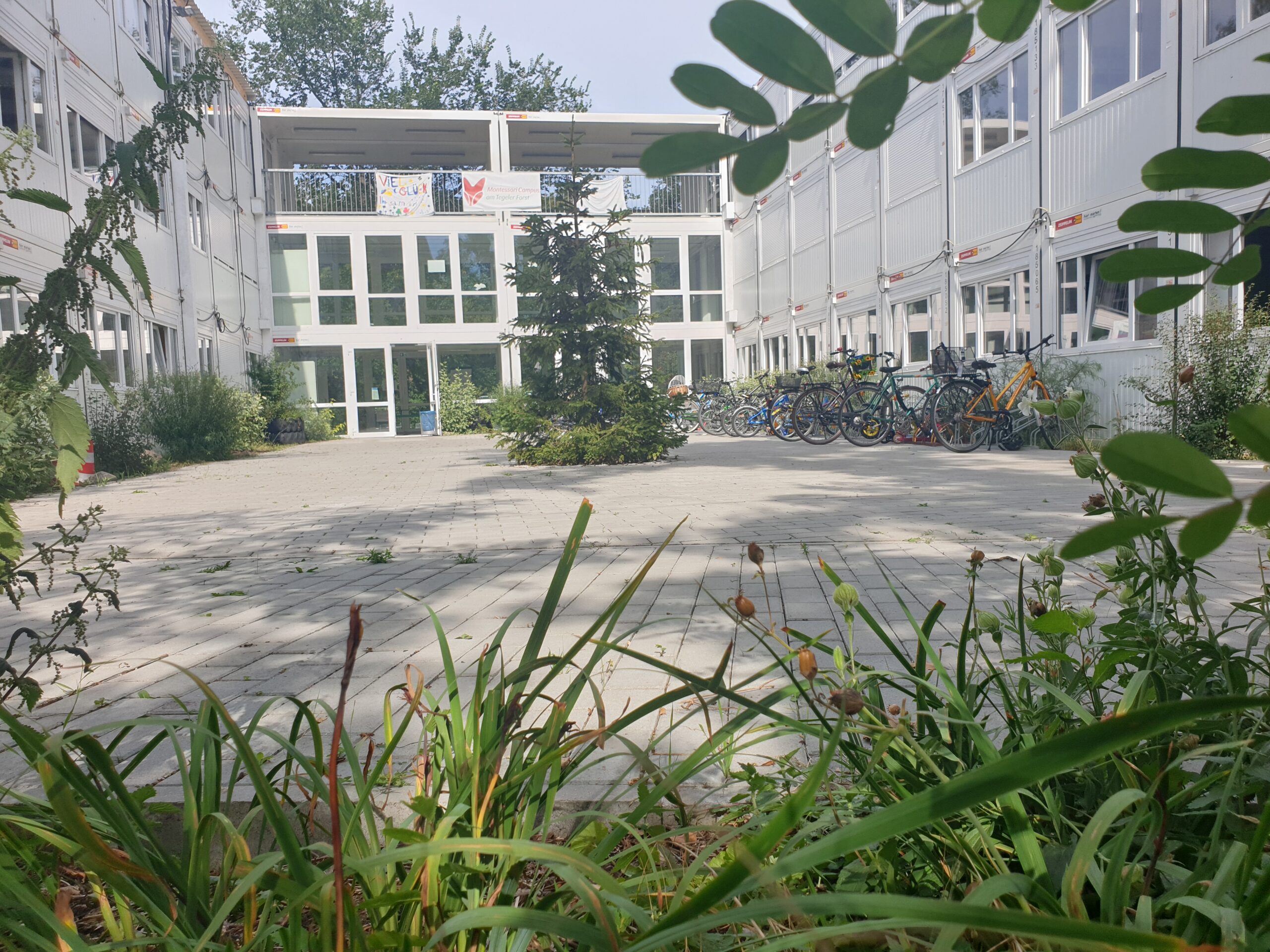 wabi jayme 578762 unsplash