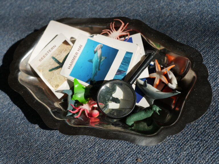 bild 20260312 101058 d6458993