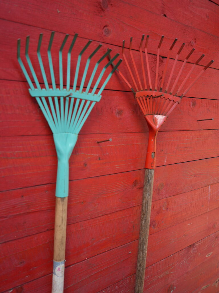 bild 20260312 103232 dff94ae8