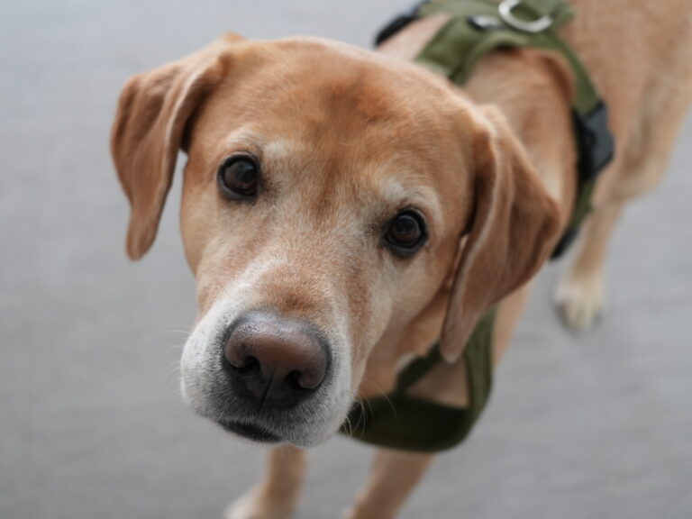 bild 20260312 114604 5f32dfc5